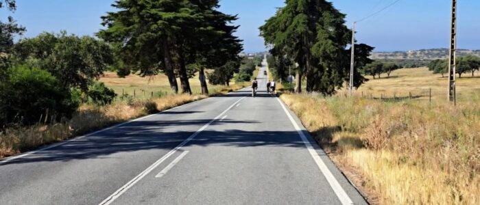 Screenshot_20260228_125230_Facebook