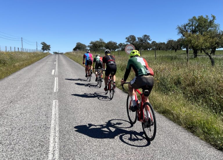 Portugal N2 Cycle Route: The Complete Cyclist’s Guide
